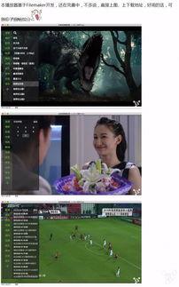 国产男女大片推荐视频播放器,畅享视听盛宴，尽在视频播放器  第2张