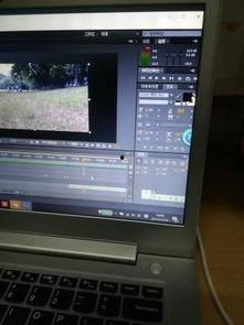 国产显卡视频渲染不出来,国产显卡视频渲染难题解析与突破