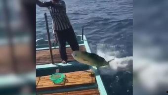 国产路亚钓鱼竿钓鱼视频  第2张